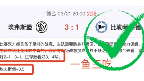 2026年沃尔玛Nvidia GeForce RTX 507